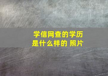 学信网查的学历是什么样的 照片